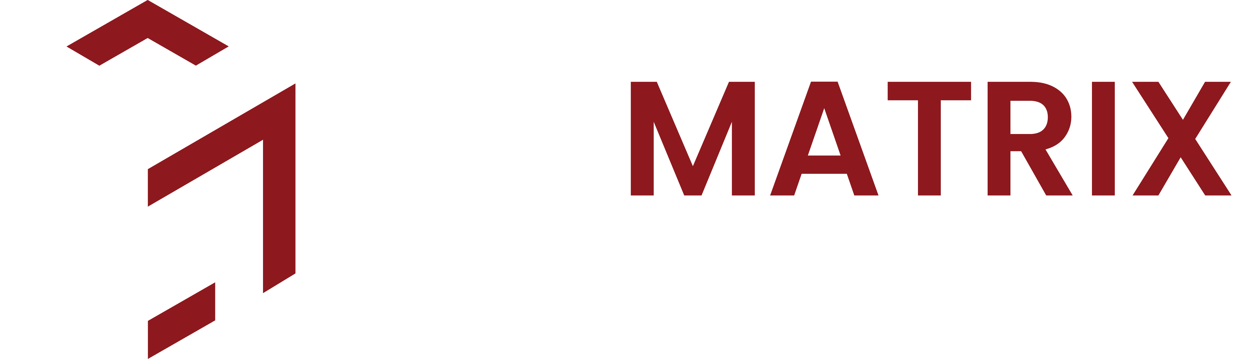 The Matrix Design Professionals